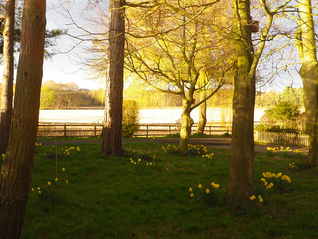 Corbridge, essai de filtre