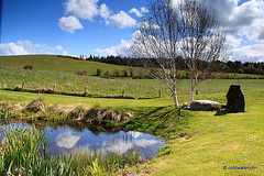 Bright May sunshine - using "Medium" ND Filter