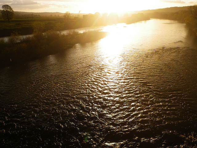 La Tyne à Corbridge, 1