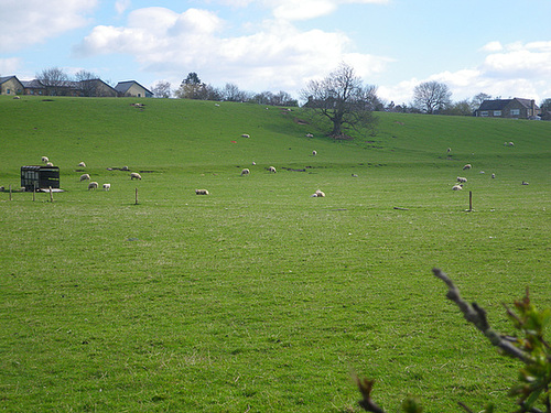 Au bas de la colline de Corstopitum