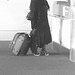 Ponytail Black Lady in wedges -  Brussels airport - B & W  -  Noir et blanc