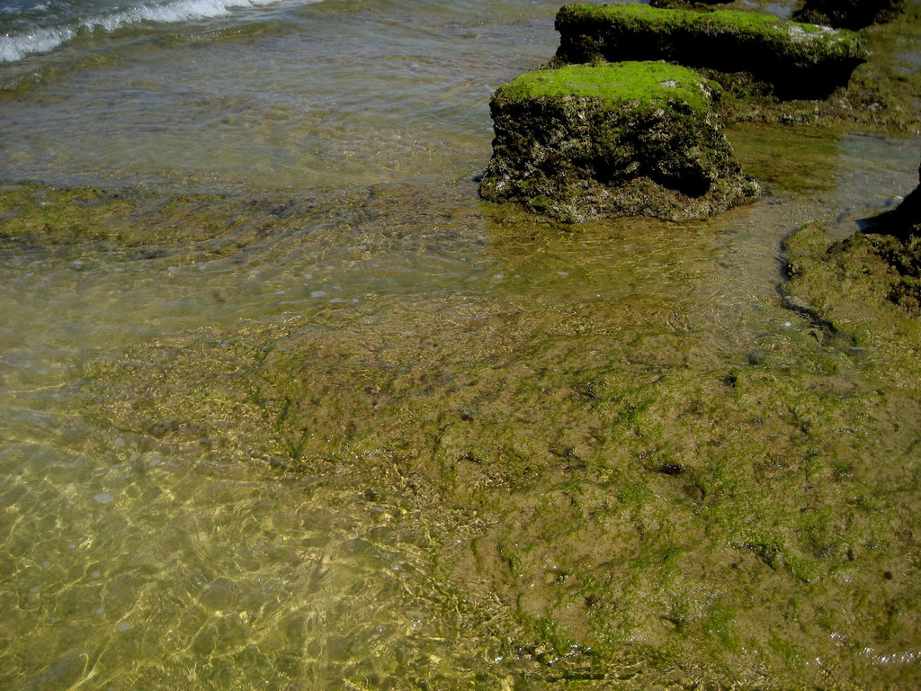 Algarve, Praia Galé, low tide (2)