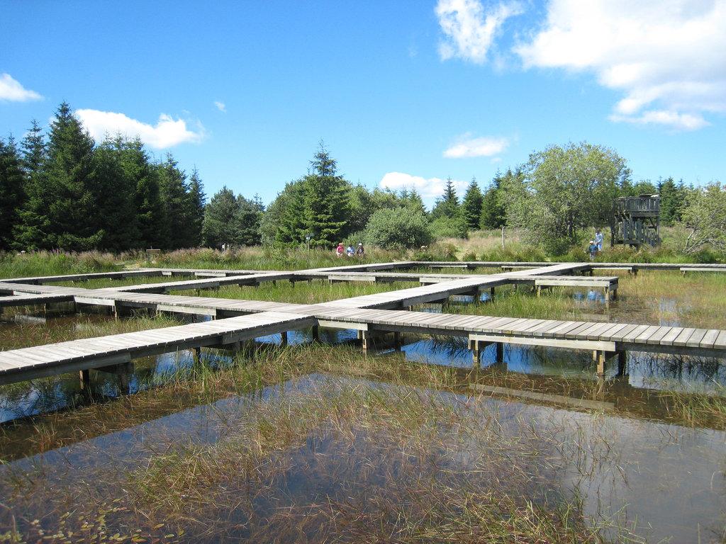 Etang des Barthes