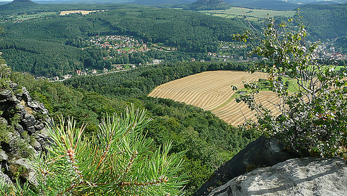 Kleiner Ipernity Treff auf dem Lilienstein