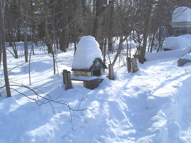 Courrier et oiseaux  / Bird house mailbox