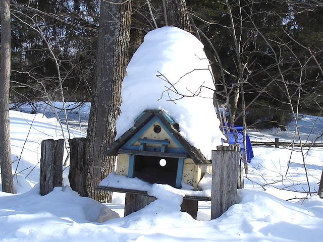 Courrier et oiseaux  / Bird house mailbox -  St-Benoit-du-lac  au Québec. CANADA.  Février 2009