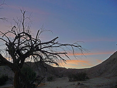 Mecca Hills at Dawn (0507)