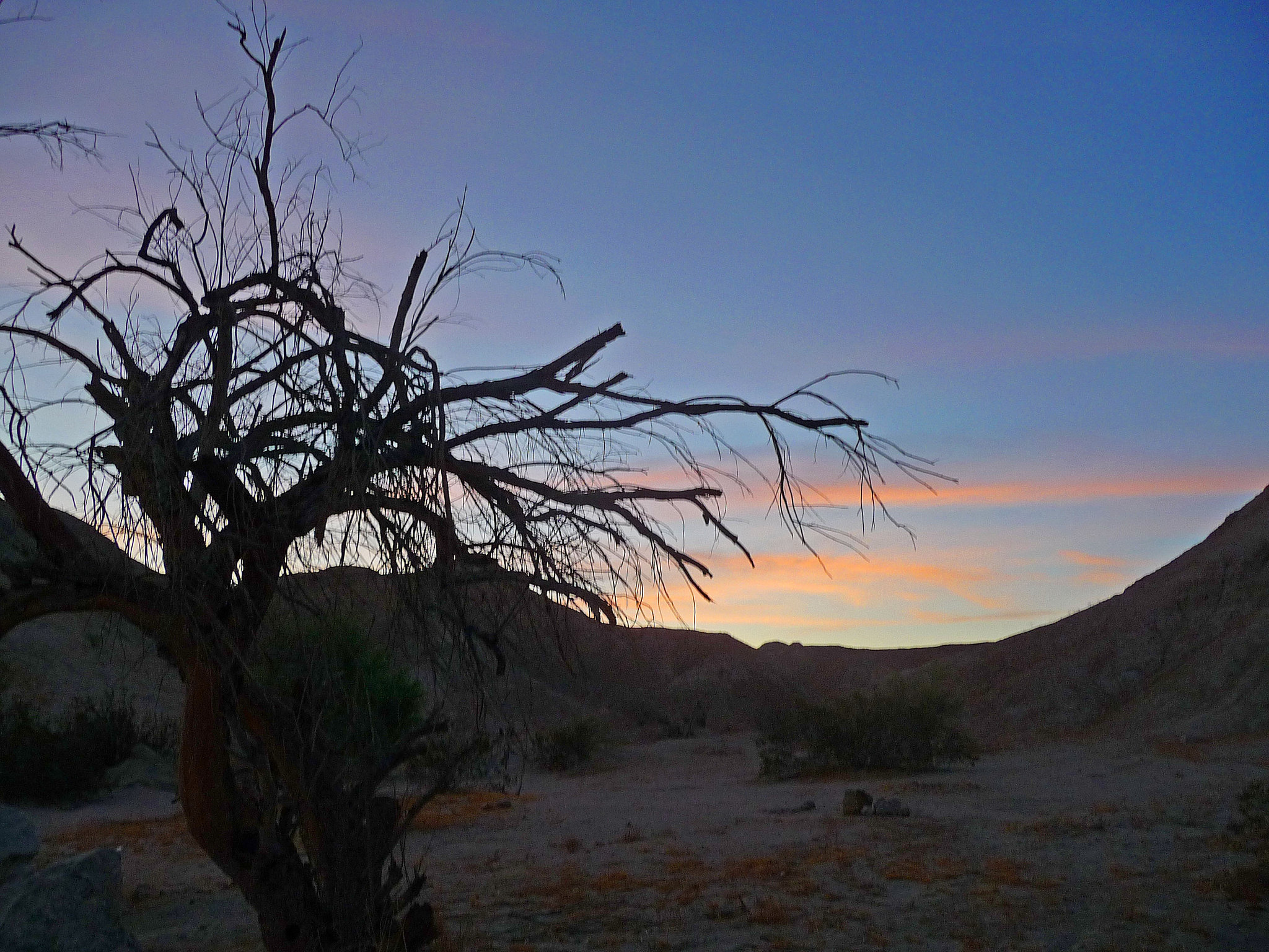 Mecca Hills at Dawn (0508)