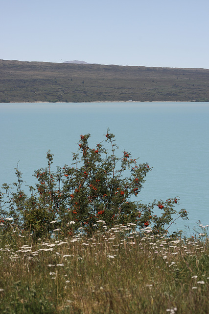 Gletscherwassersee