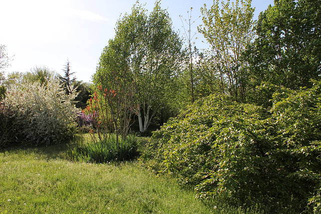 Bel espace