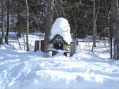 Courrier et oiseaux  / Bird house mailbox -  St-Benoit-du-lac  au Québec. CANADA.  Février 2009