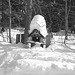 Courrier et oiseaux  / Bird house mailbox -  St-Benoit-du-lac  au Québec. CANADA.  Février 2009  - B & W.