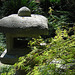Japanese Garden (2332)