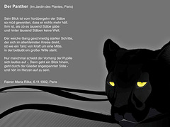 Rilke: Der Panther, 06.11.1902, Paris