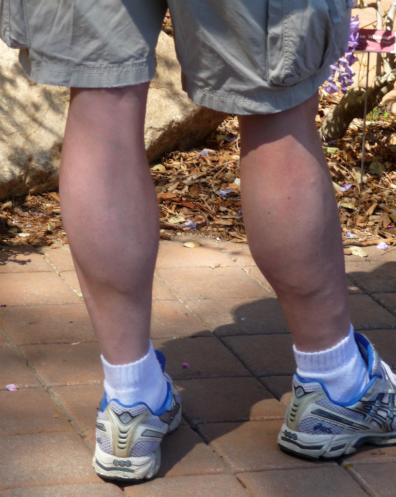 Calves (3900)
