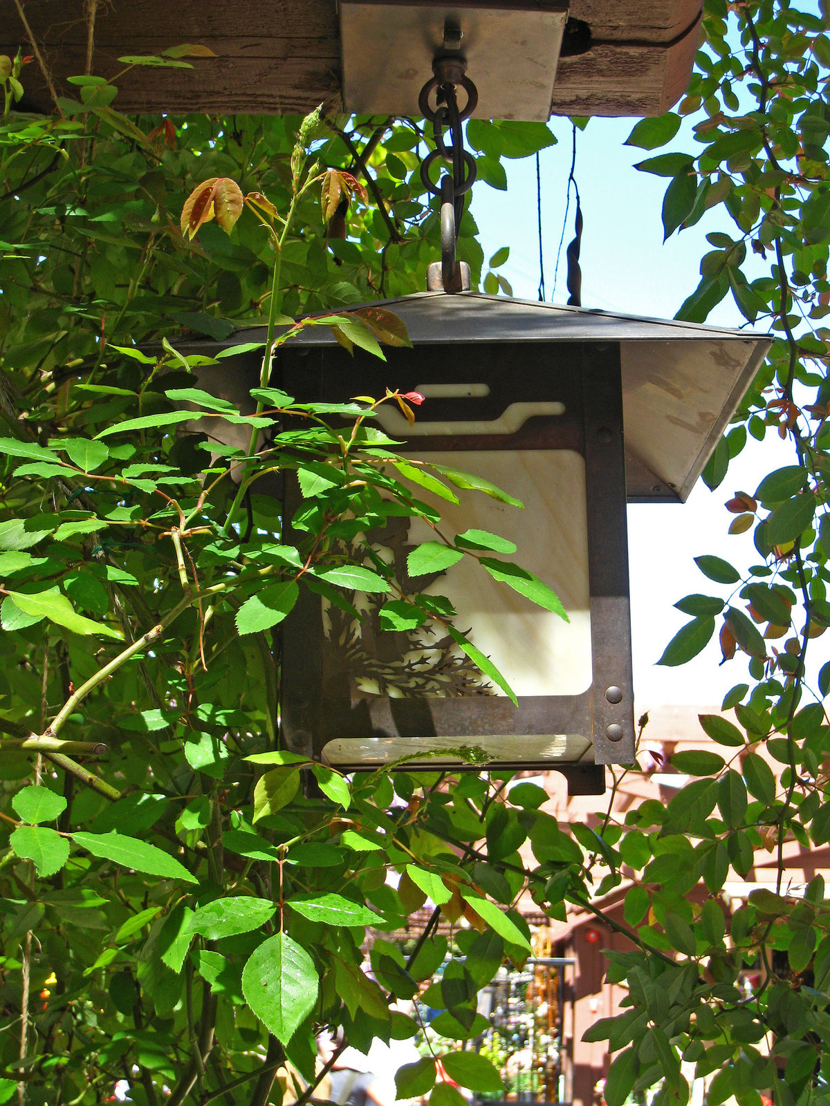 Descanso Gardens Lamp (2324)