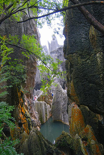 Stone Forest (Shilin)