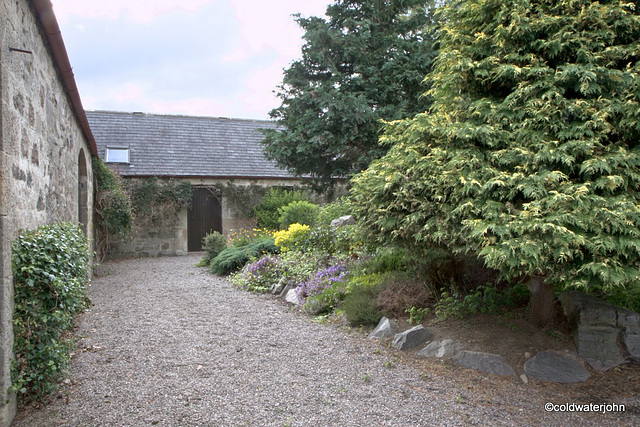 Courtyard garden colours in June