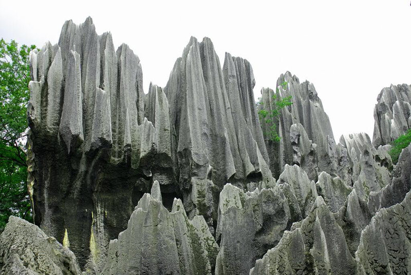 Stone Forest (Shilin)