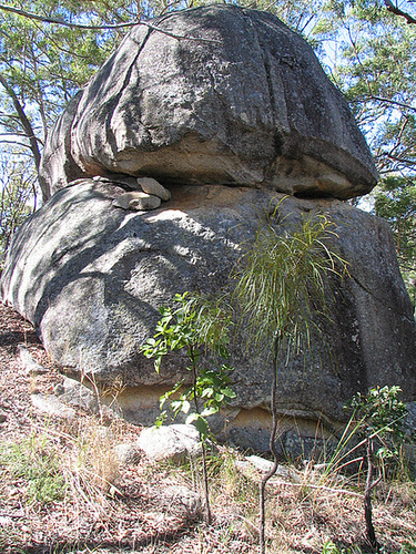 Atherton Tablelands 2004