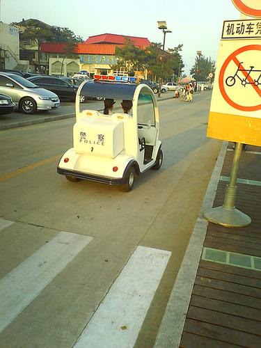 Police Beauties in an Electromobiiiil