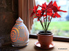 Candlelight and fire 6574562159 o