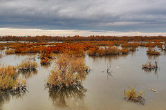 camargue nuageuse