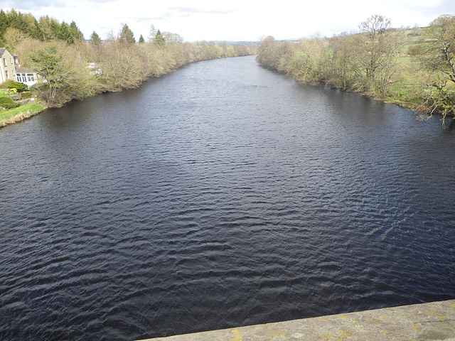 La Tyne au niveau de Chesters.