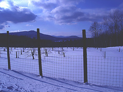 L'hiver dans les Cantons de l'est au Québec.   Février 2009 - Effet nuit