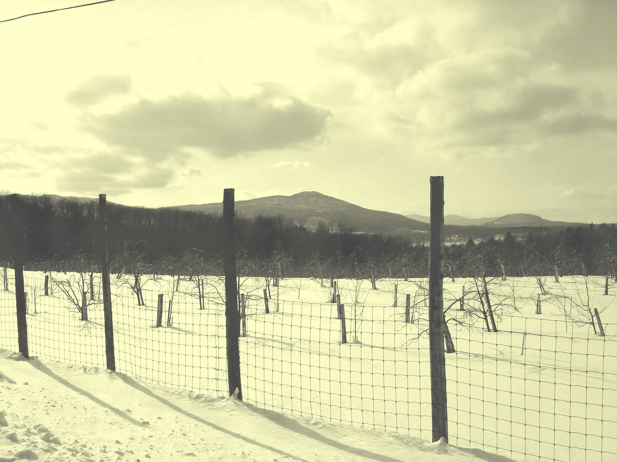 L'hiver dans les Cantons de l'est au Québec.   Février 2009-  Vintage