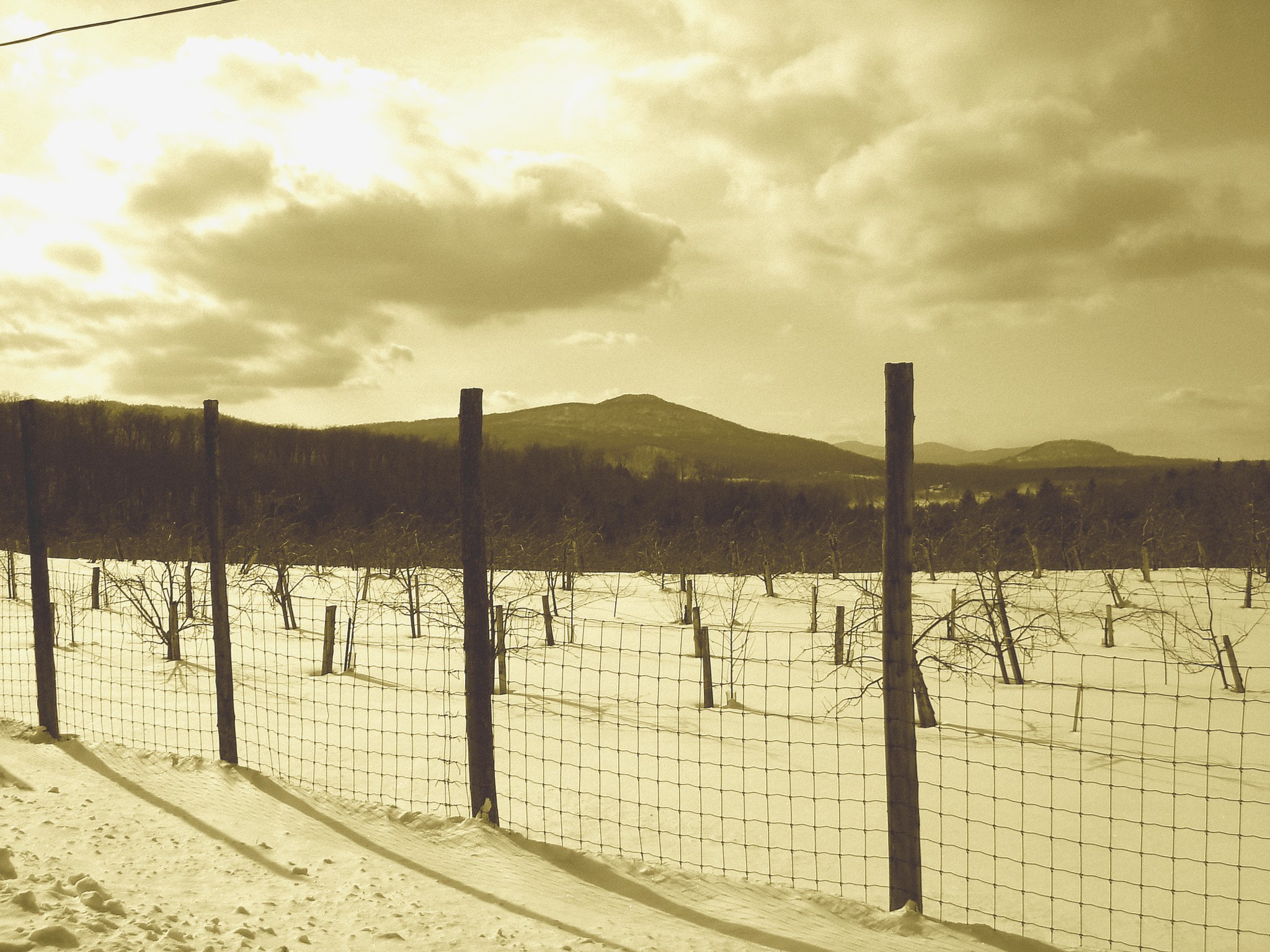 L'hiver dans les Cantons de l'est au Québec.   Février 2009 - Sepia