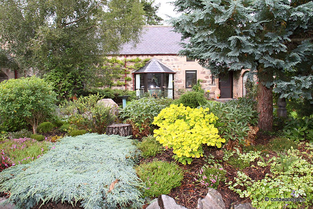 Courtyard Rockery in early September