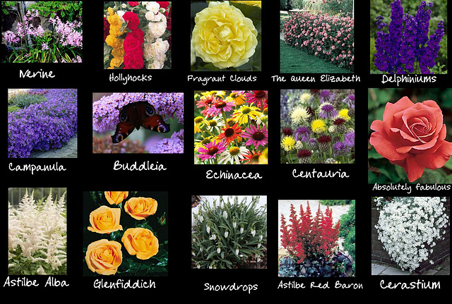 Crib sheet for the new flowerbed contents