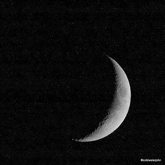 Crescent Waxing Moon - Nov 17