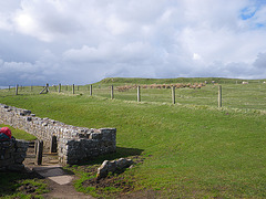 Carrawburgh : entrée du mithraeum.