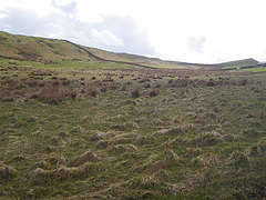 Sur la route de Housesteads.