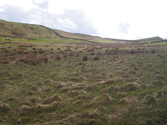 Sur la route de Housesteads.