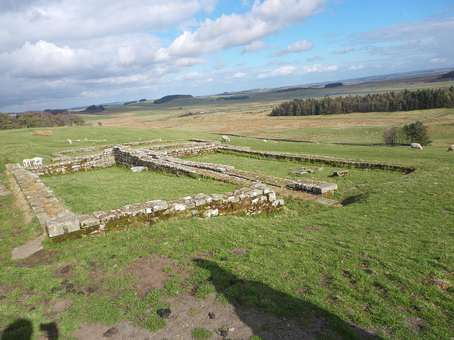 Housesteads : vicus