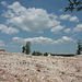 Karstlandschaft am Harz