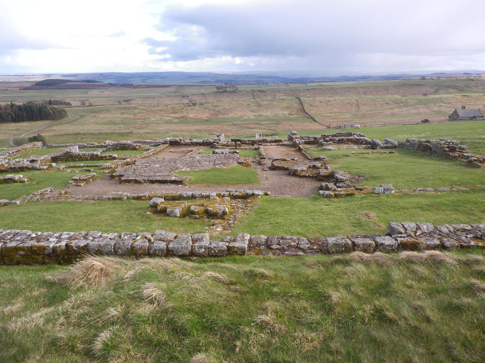 Housesteads : principia 1