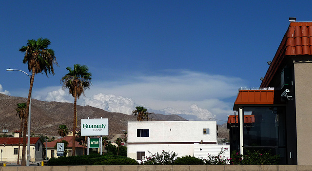 Storms Over Joshua Tree (0472)