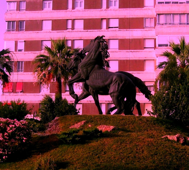 Jerez de la Frontera, Andalusia's horses