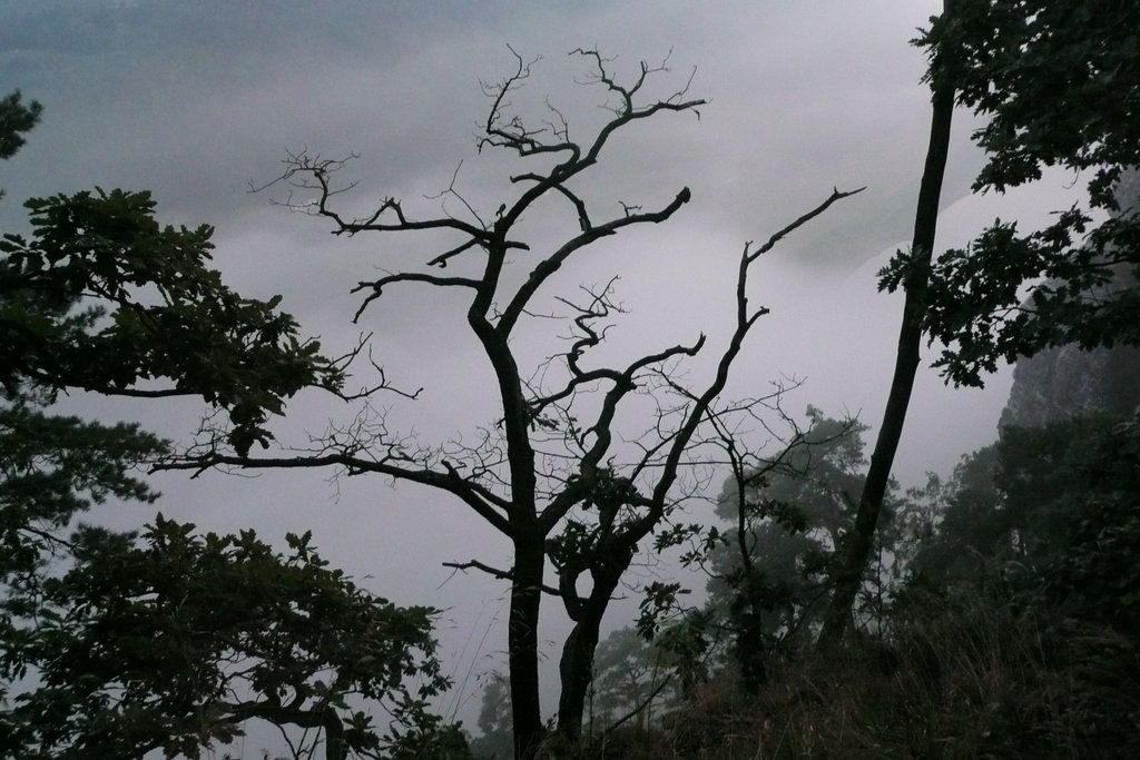 Bastei - Dämmerung - noktiĝo - crèpuscule - crepúsculo - gloaming