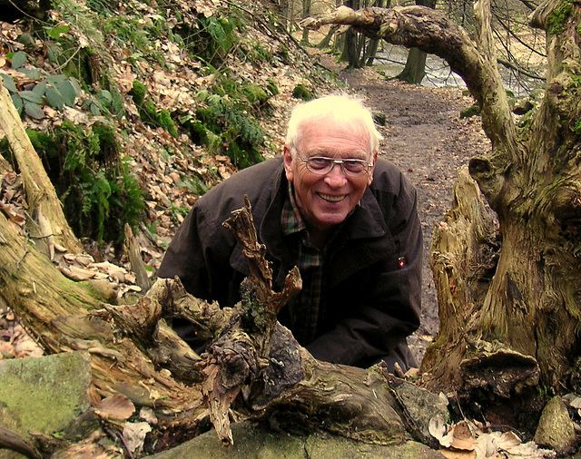 Blick durch die Wurzeln - Polenztal 2008