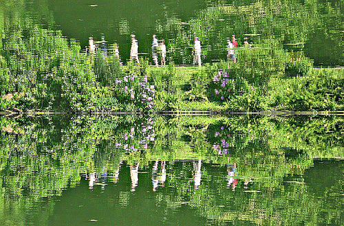 Illusion of reality