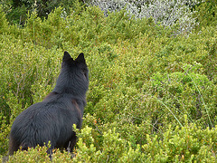 20130509 Fee Mt Baudile (71) Ledge