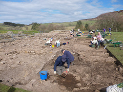 Vindolanda : les volontaires.