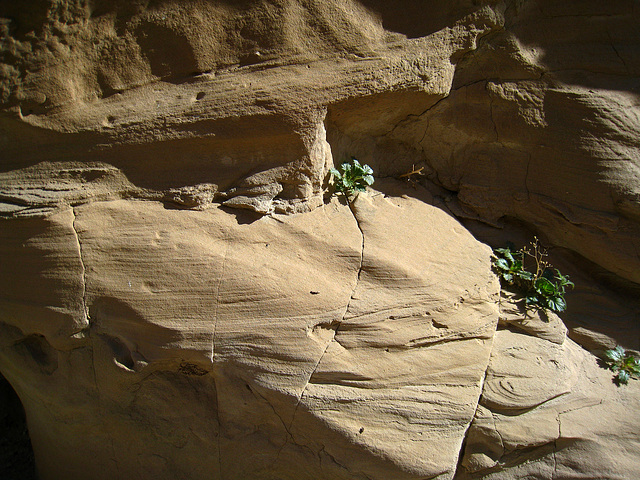 Slot Canyon (2144)