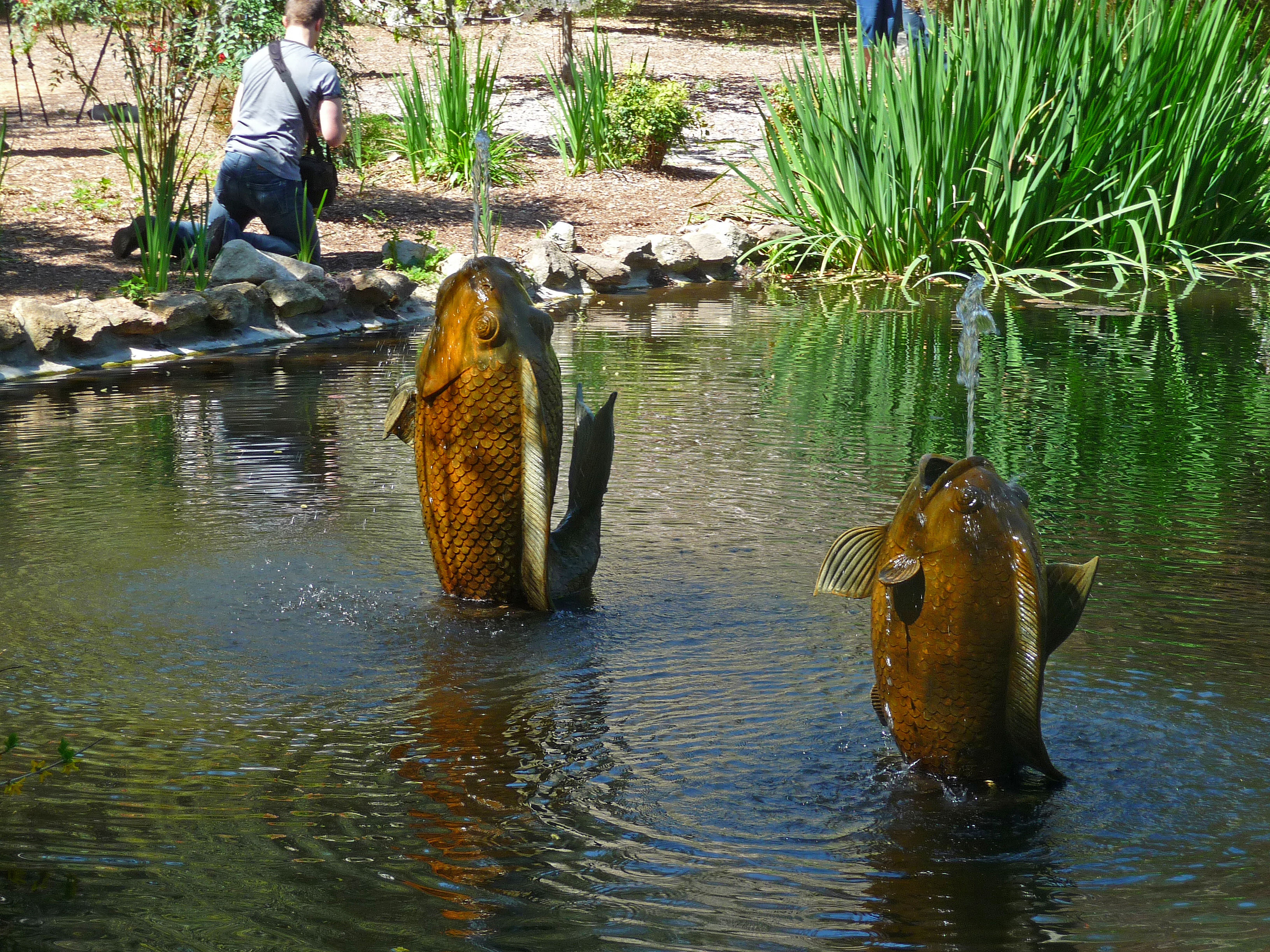 Descanso Gardens (3896)