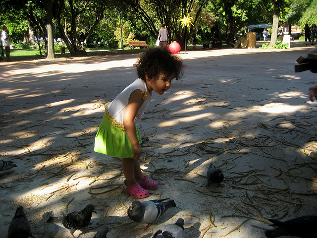 Rafaela, talking to the pigeons